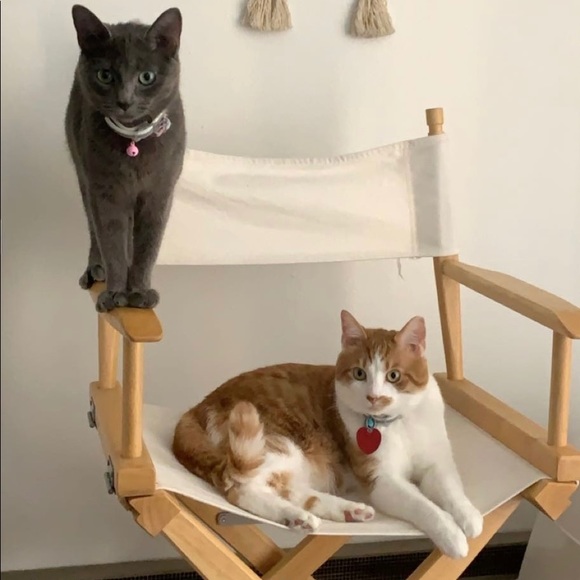 Meet your Posher, Mattie - Picture 3 of 5